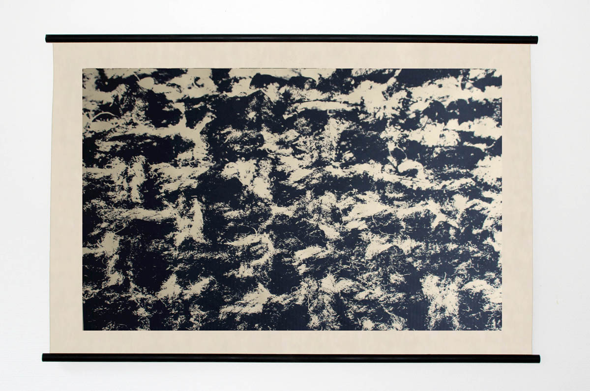 Titel: Schulwandkarte - 01101 (Größe: 120 cm x 80 cm) 